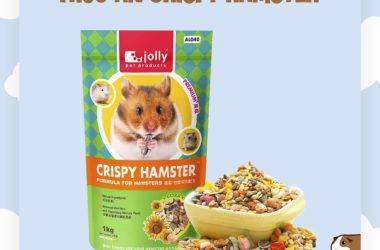 Thức ăn Crispy Hamster