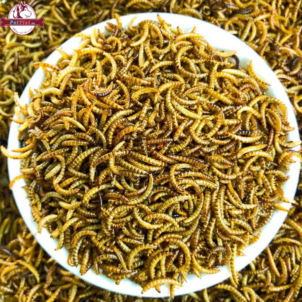 Sâu Gạo Sấy Khô Thức Ăn Vỗ Béo Dành Cho Hamster - Ảnh 2