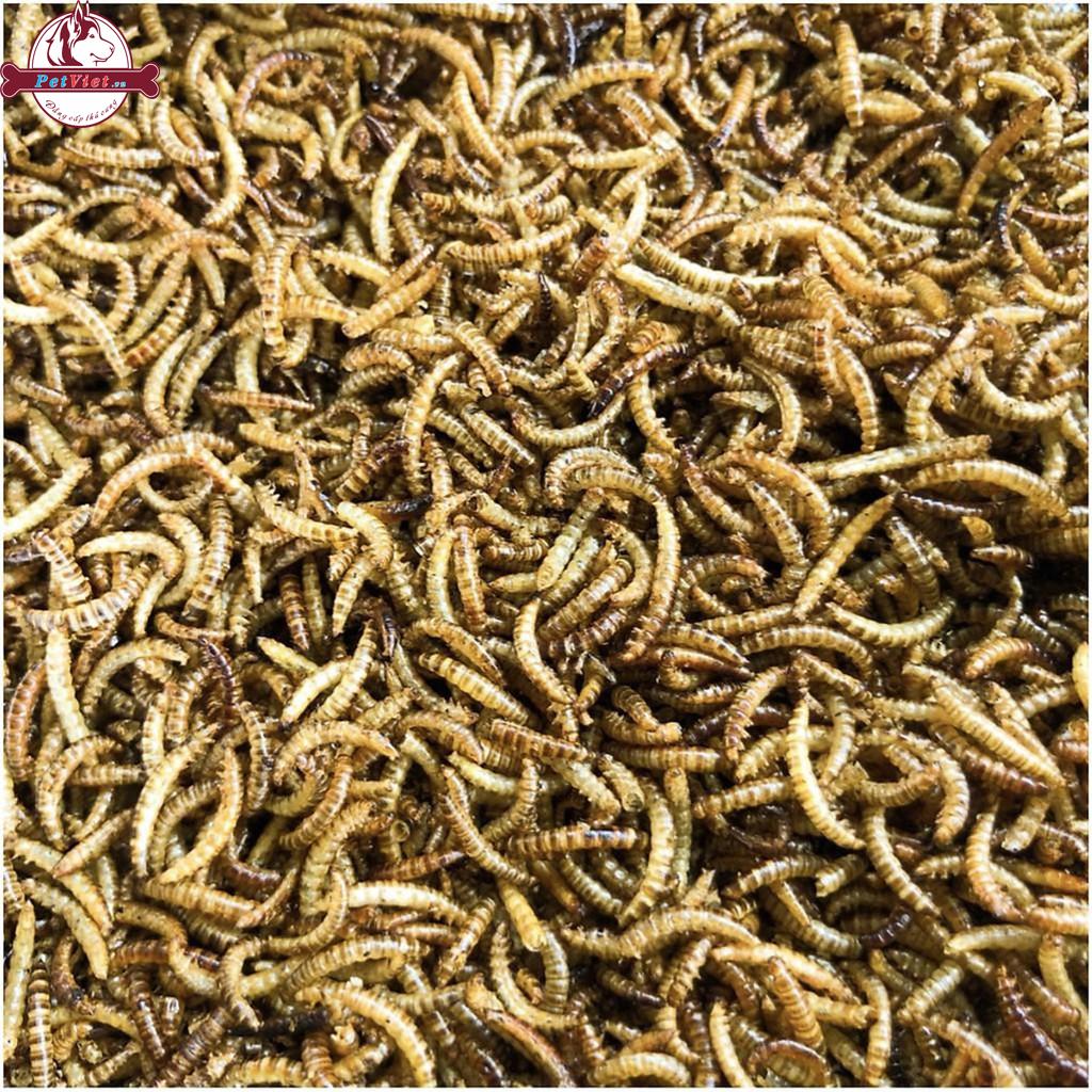 Sâu Gạo Sấy Khô Thức Ăn Vỗ Béo Dành Cho Hamster - Ảnh 3