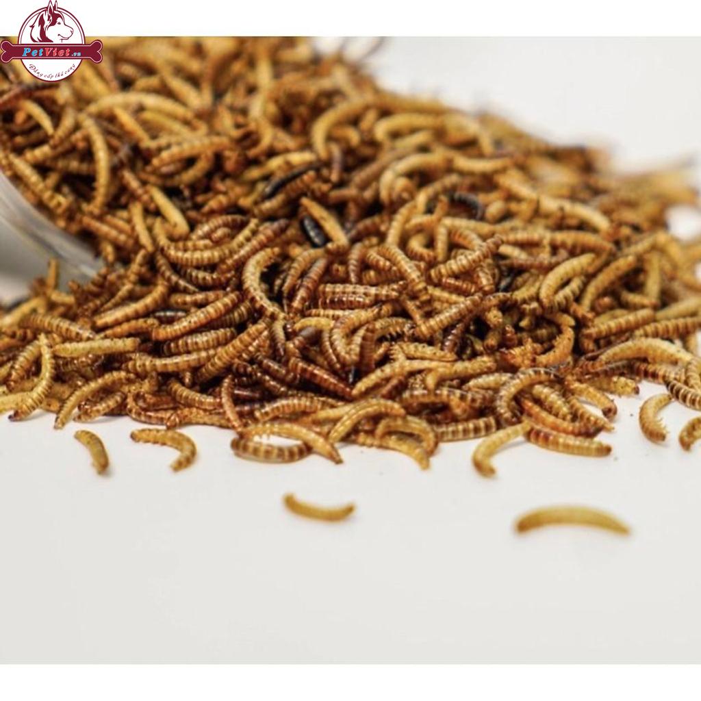 Sâu Gạo Sấy Khô Thức Ăn Vỗ Béo Dành Cho Hamster - Ảnh 4