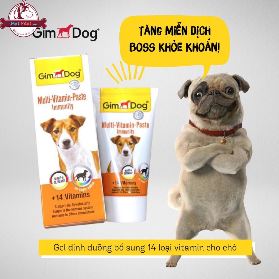 Gel Dinh Dưỡng Cho Chó Biếng Ăn – Gimdog