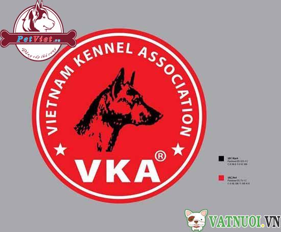 VKA là viết tắt của Hiệp hội những người nuôi chó giống Việt Nam