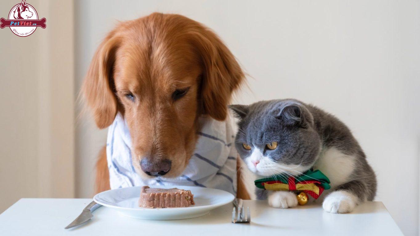 Vì sao chó mèo ghét nhau? Một lý do rõ ràng khác khiến chó và mèo đánh nhau là vì chúng đang cạnh tranh thức ăn hoặc sự chú ý của bạn.