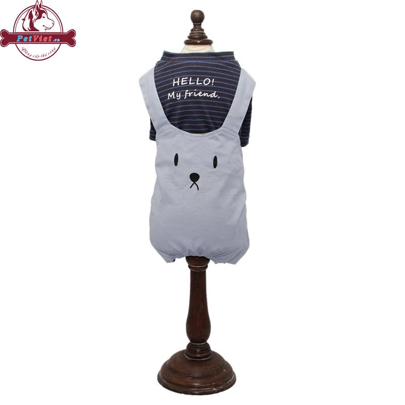 Quần Áo Cho Chó Mèo Ambaby Pet 2JXF164