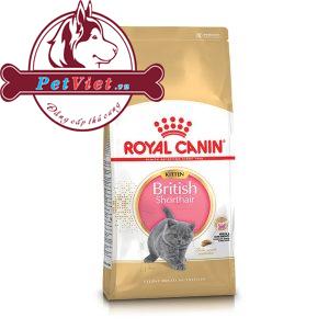Thức Ăn Cho Mèo Anh Lông Ngắn Con Royal Canin British Shorthair Kitten