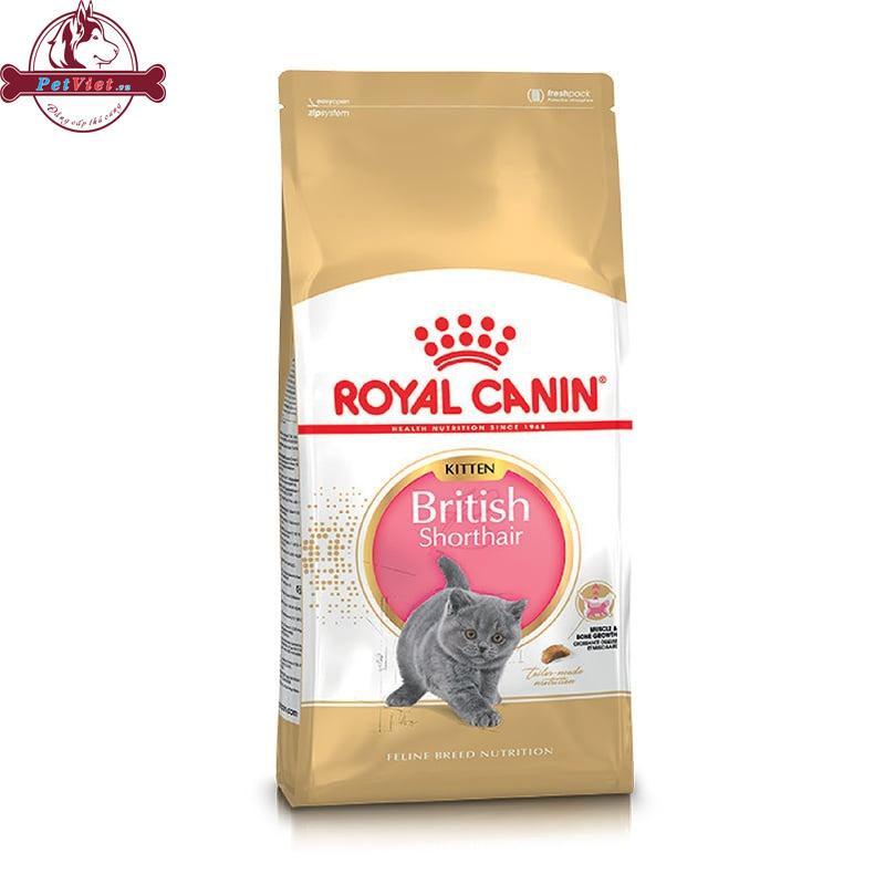 Thức Ăn Cho Mèo Anh Lông Ngắn Con Royal Canin British Shorthair Kitten