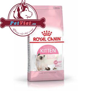 Thức Ăn Cho Mèo Con Royal Canin Kitten