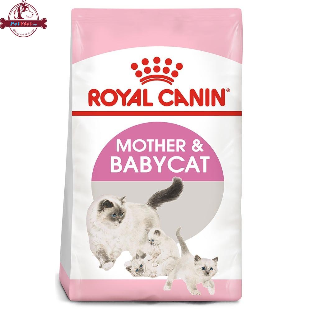 Thức Ăn Cho Mèo Con Và Mèo Mẹ Royal Canin Mother & Babycat - Ảnh 3
